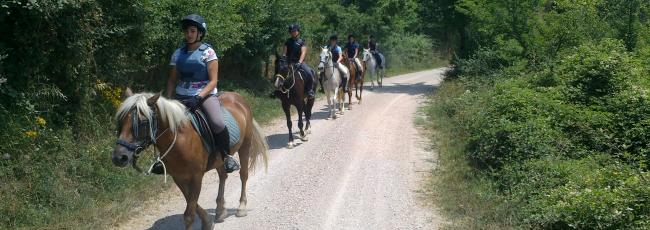 trailriding - equiturismo