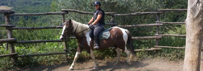 Maneggio - riding lessons