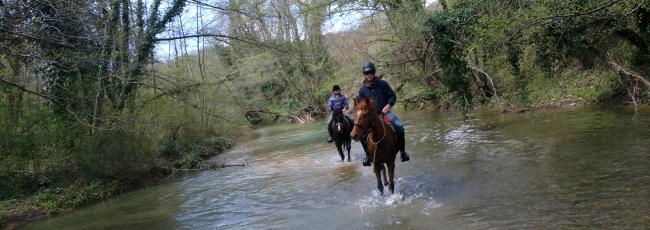 trailriding - equiturismo