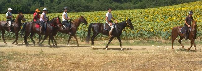 trekking a cavallo