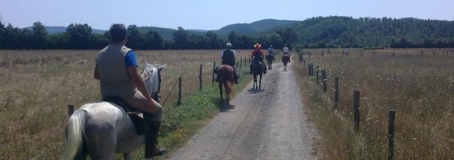 trekking a cavallo