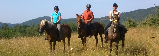 trailriding - equiturismo