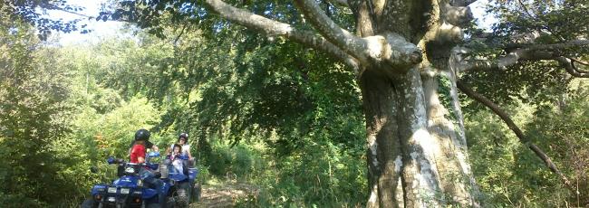 quad tour toscana tuscany