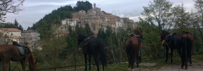 trekking a cavallo