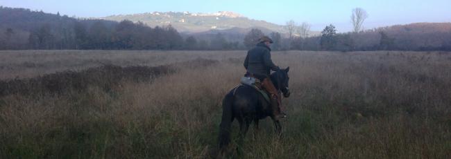 horse trekking