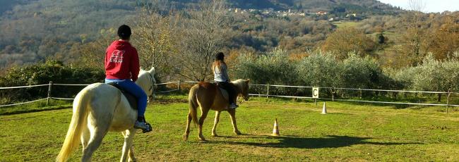 Maneggio - riding lessons