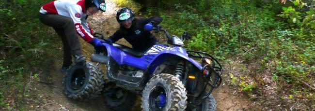 quad in fossa