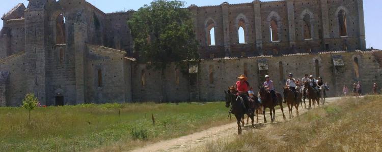 San Galgano horse riding equitazione