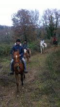 passeggiata a cavallo